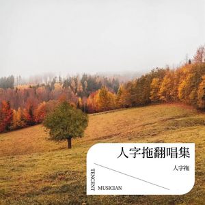 送你一瓣的雪花-人字拖