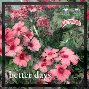 Better Days (Explicit)