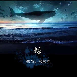 鲸