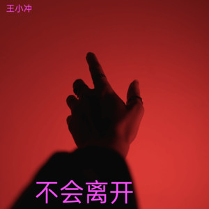 不会离开 (伴奏)