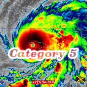 Category 5