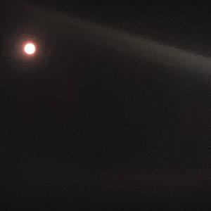 vampire teeth (Explicit)