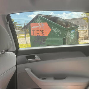 Im clinically insane (Explicit)