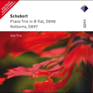 Schubert Piano Trio In E Flat Major D897, 'Notturno'