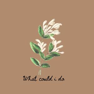 What could I do (Explicit)