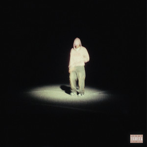 SNAKE SNEAKERS (Explicit)