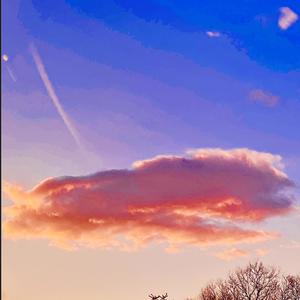 s e s p a r i s c o.