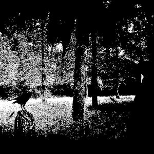 Dream Big Dont Wake Up (Explicit)