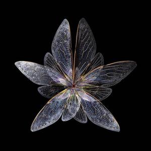 Butterfly Style (Free$tyle) (Explicit)