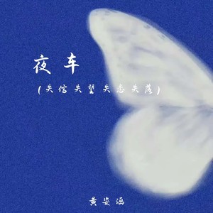 夜车（失信失望失恋失落）封面