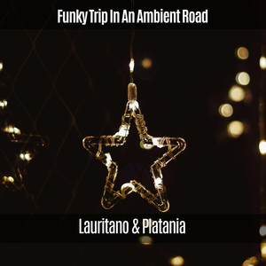 Funky Trip in an Ambient Road