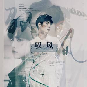 驭风（肖战应援曲） - 许浅莹Ava;之玄;菱歌;南诗曦阳;柒嘉封面