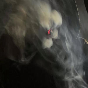 Posted wid gang (feat. 308murda) (Explicit)