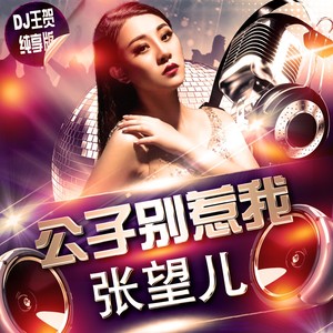 公子别惹我 (DI王贺版)