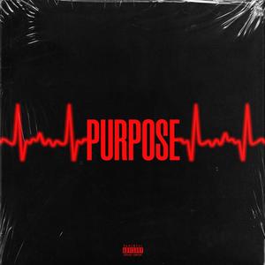 Purpose (Explicit)