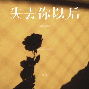 失去你以后 (烟嗓男版)