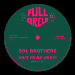 What Would We Do? (In Da Sol Mix)