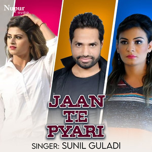 Jaan Te Pyari (Remix)