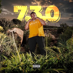 Stay Shining (Explicit)