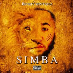 SIMBA (Explicit)