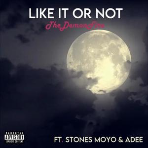 Like it or not (Official Audio) (feat. Stones Moyo & Adee) [Explicit]