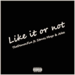 Like it or not (Official Audio) (feat. Stones Moyo & Adee) (Explicit)