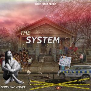 The System