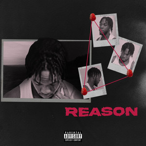 Reason (Explicit)