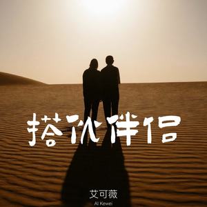 搭伙伴侣