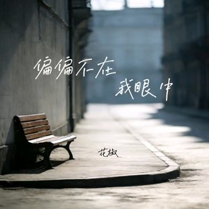 偏偏不在我眼中