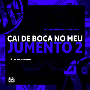 CAI DE BOCA NO MEU JUMENTO 2 (Explicit)