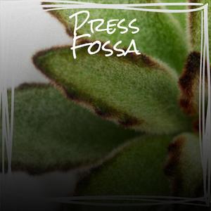 Press Fossa