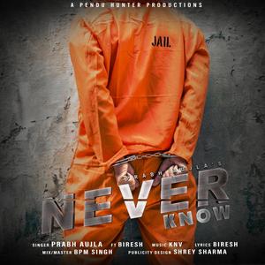 Neverknow (feat. Biresh)