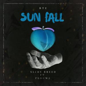 Sun fall (feat. Flouwz) [Explicit]