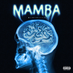 Mamba (Explicit)