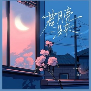 王宇宙Leto - 若月亮没来 (吉他版)