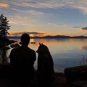 扶摇直上l - 春娇与志明(DJ旋律)