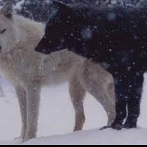 Uhh Oh (feat. 23kspinn) (Explicit)