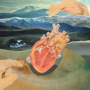 Shape of My Heart (feat. Torgny Elgstrand)