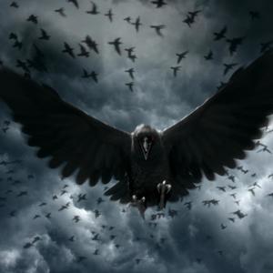 Motion (freestyle) (Explicit)