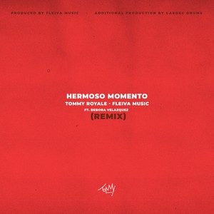 Hermoso Momento (Remix)