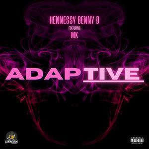 Adaptive (Explicit)