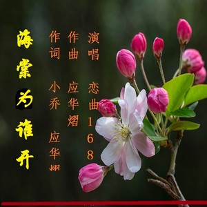 海棠未谁开 (D调纯伴奏 无伴唱|伴奏)