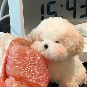 这世界那么多人