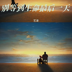 别等到生命最后一天 (DJ彭锐版伴奏)封面