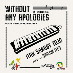 Without Any Apologies (Extended Mix)