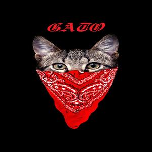 GATO (Explicit)