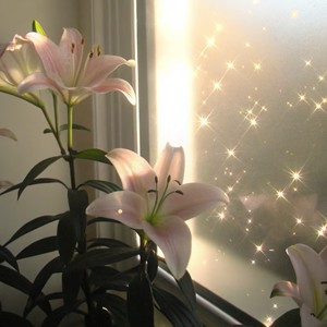 夏火ww - 给我一个理由忘记 (R&B版)