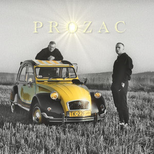 PROZAC (Explicit)