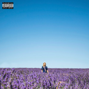 fin (Explicit)